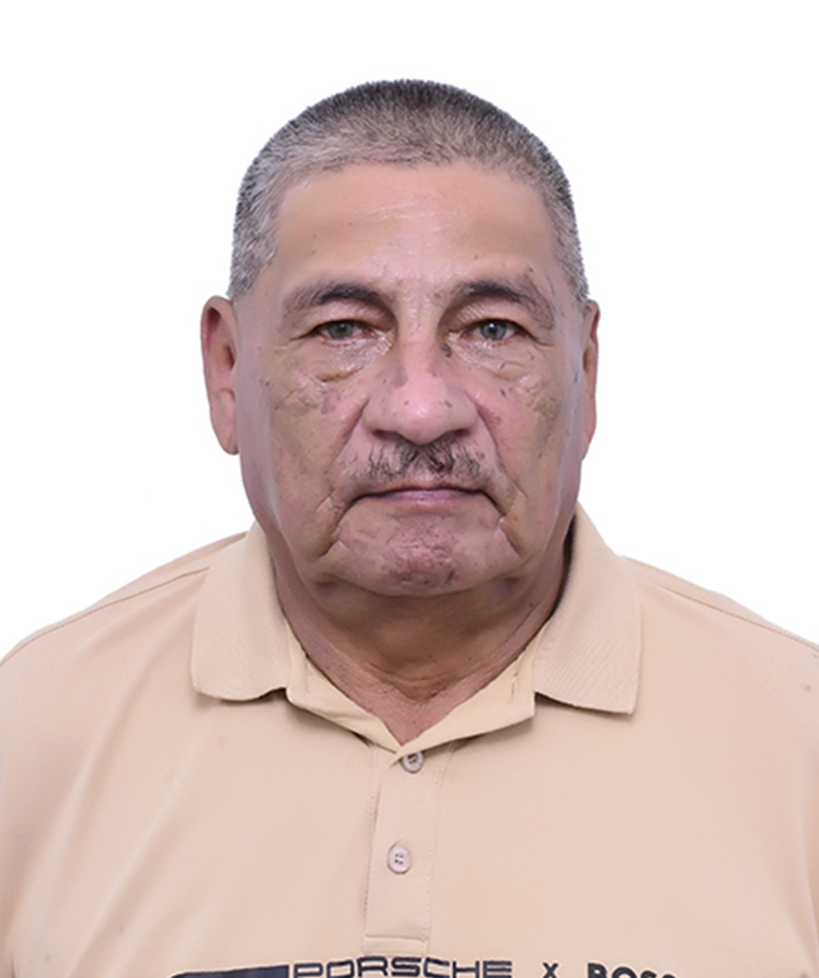 reinaldo meneses ruiz. vicepresidente